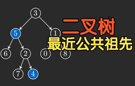 二叉树的最近公共祖先【基础算法精讲 12】